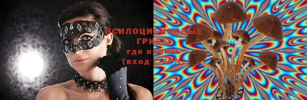 гидропоника Алексин